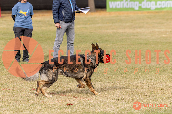2025K9ForceCup-3673