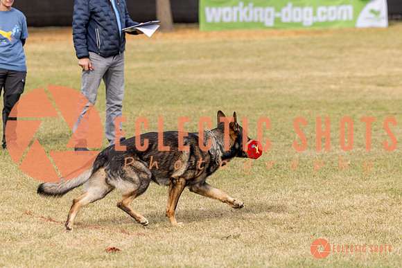 2025K9ForceCup-3675