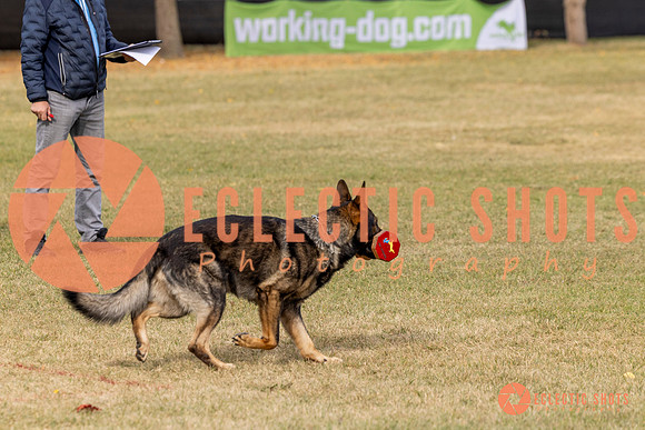 2025K9ForceCup-3677