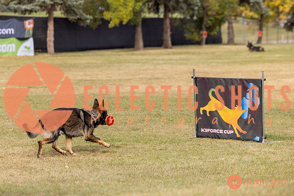 2025K9ForceCup-3687