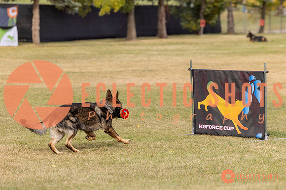 2025K9ForceCup-3689