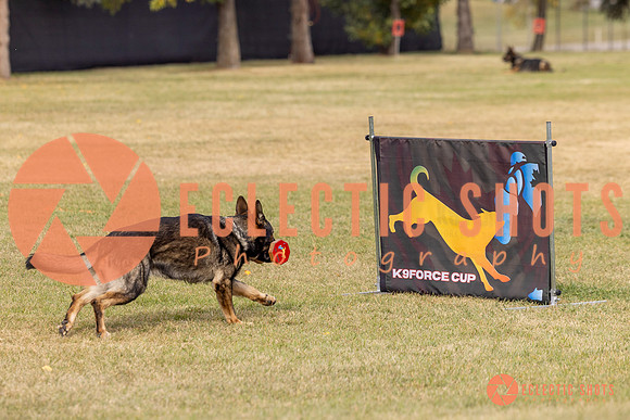 2025K9ForceCup-3691
