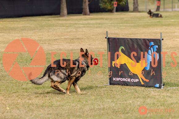 2025K9ForceCup-3693