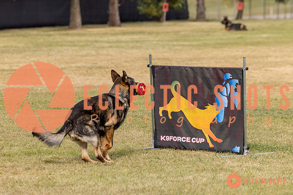 2025K9ForceCup-3694