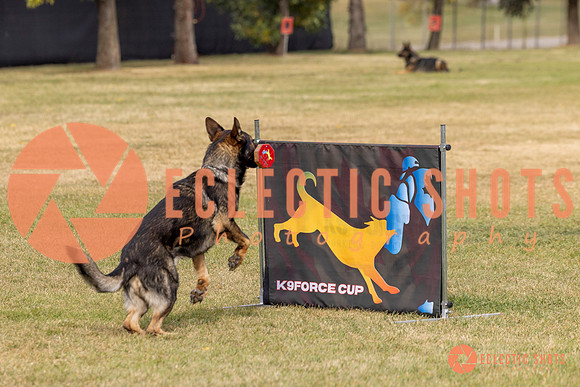 2025K9ForceCup-3695