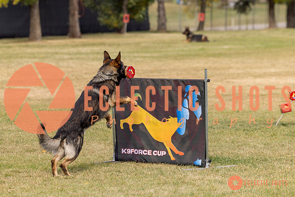 2025K9ForceCup-3696