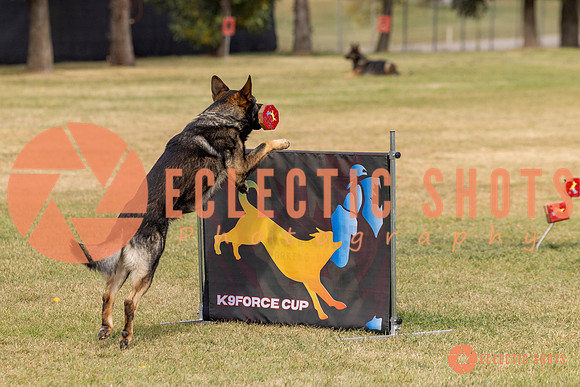 2025K9ForceCup-3697