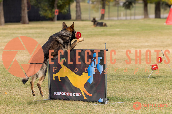 2025K9ForceCup-3698