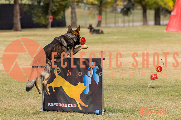 2025K9ForceCup-3699