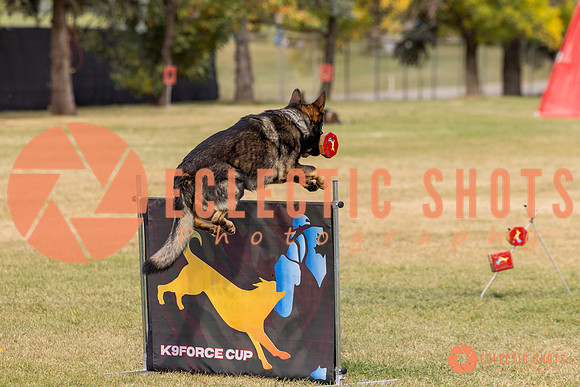 2025K9ForceCup-3701