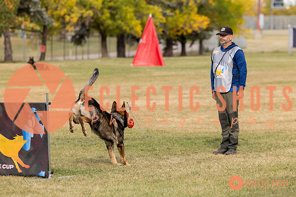 2025K9ForceCup-3709