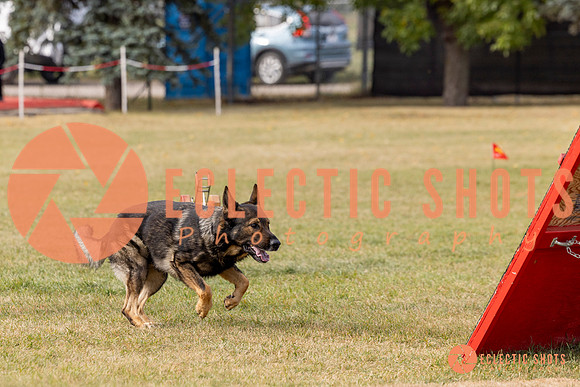 2025K9ForceCup-3740