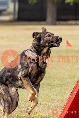 2025K9ForceCup-3746