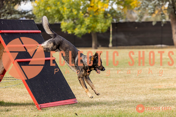 2025K9ForceCup-3774
