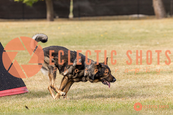 2025K9ForceCup-3778