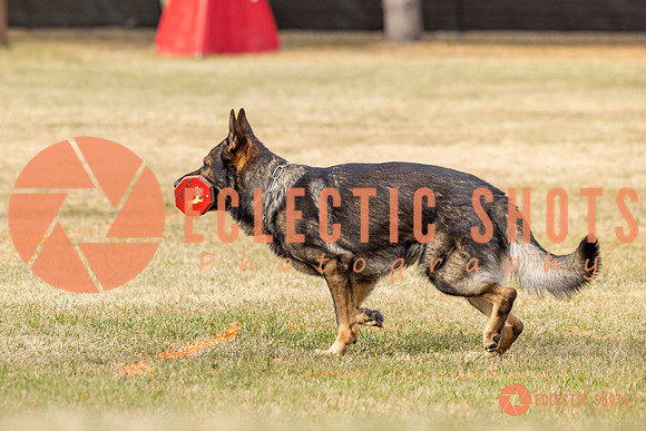 2025K9ForceCup-3834