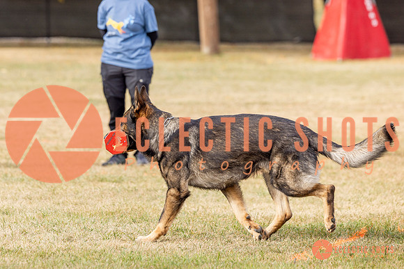 2025K9ForceCup-3841