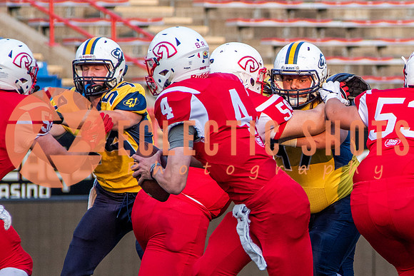 CalgaryColts-2619
