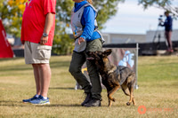 2025K9ForceCup-3548