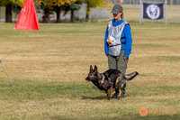 2025K9ForceCup-3552
