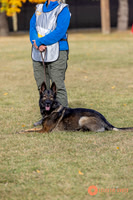 2025K9ForceCup-3568