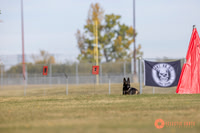 2025K9ForceCup-3952