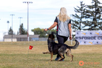 2025K9ForceCup-4269