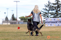 2025K9ForceCup-4271