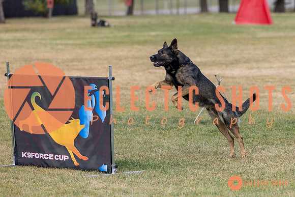 2025K9ForceCup-4296