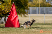 2025K9ForceCup-7409