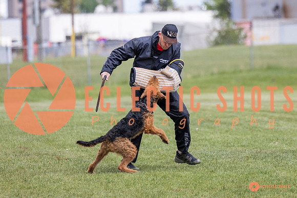 2025-K9Force-MayExams-7859