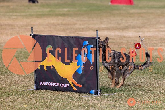 2025K9ForceCup-4997