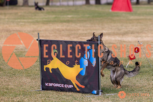 2025K9ForceCup-4998