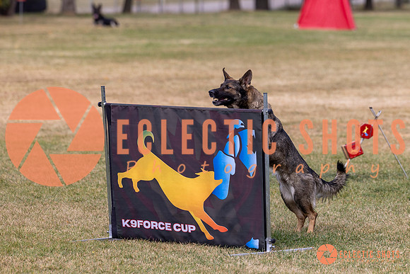 2025K9ForceCup-4999