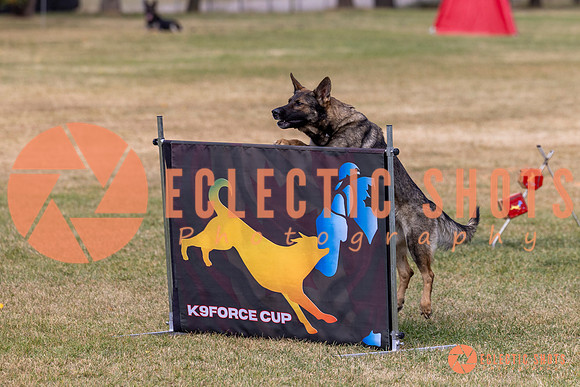 2025K9ForceCup-5000
