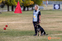 2025K9ForceCup-4650