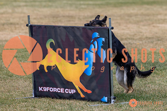 2025K9ForceCup-4669