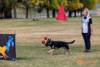 2025K9ForceCup-4659