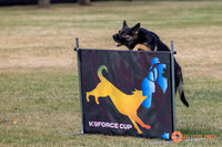 2025K9ForceCup-4671