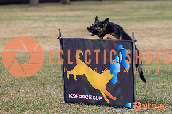 2025K9ForceCup-4671