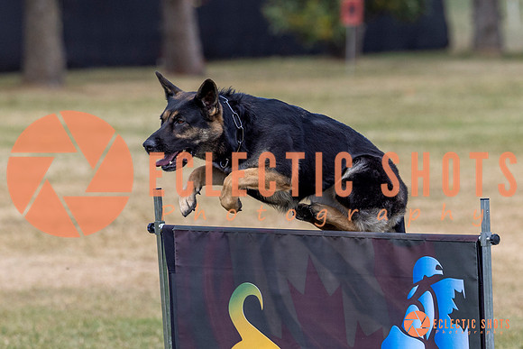 2025K9ForceCup-4674