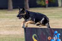2025K9ForceCup-4675