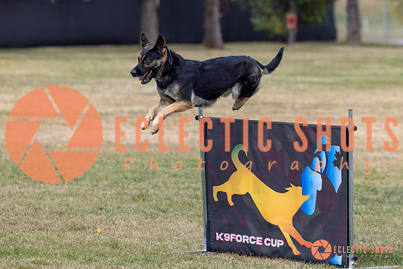 2025K9ForceCup-4677