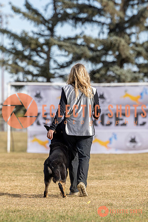 2025K9ForceCup-3464
