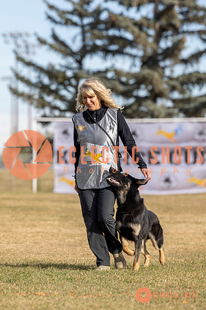 2025K9ForceCup-3465