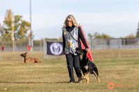 2025K9ForceCup-3468