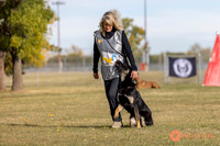 2025K9ForceCup-3469