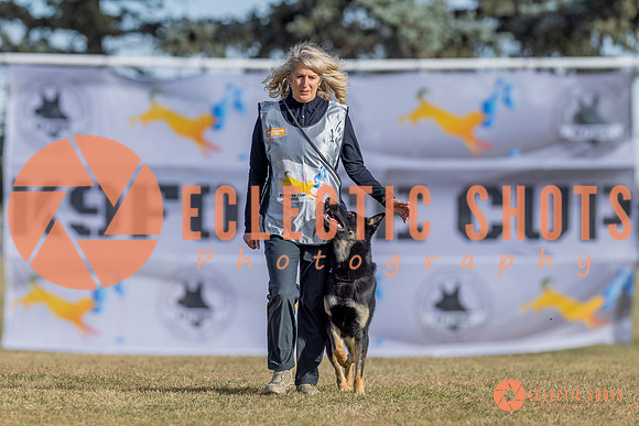 2025K9ForceCup-3476
