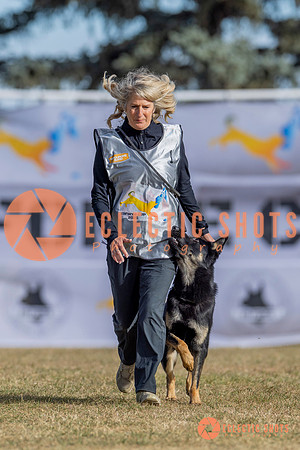 2025K9ForceCup-3484