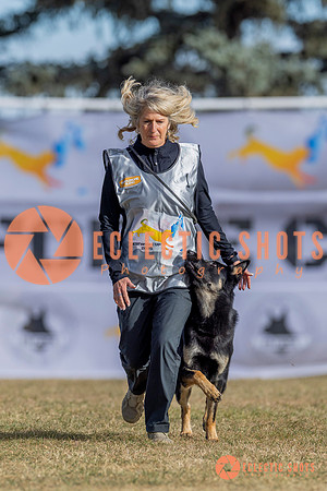 2025K9ForceCup-3485